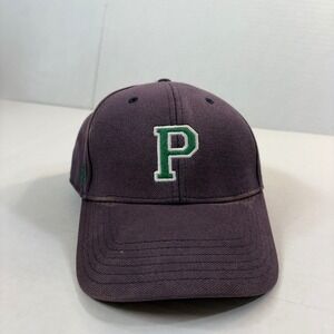 U.S. Polo Assn Purple Hat Green Embroidered P Logo OSFM Clean Faded Dad Cap